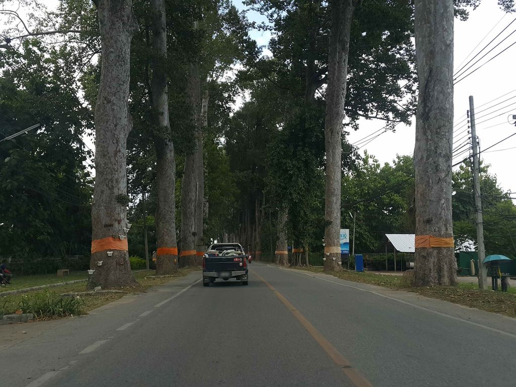 ภาพถนนตรงที่ โมโนไง คาเฟ่ ตั้งอยู่ ถ่ายโดย jrcarlsen พ.ศ. 2558 (2015) · A street-level view of where โมโนไง คาเฟ่ · Monongai Café stands, by jrcarlsen in 2558 (2015)