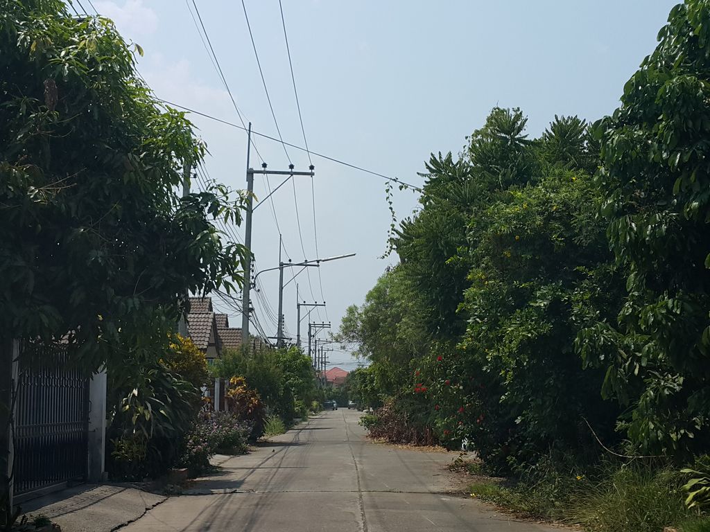 ภาพถนนตรงที่ นิวเพสท์กำจัดแมลง ตั้งอยู่ ถ่ายโดย jrcarlsen พ.ศ. 2559 (2016) · A street-level view of where นิวเพสท์กำจัดแมลง · New Pest Kamchat Maennga stands, by jrcarlsen in 2559 (2016)