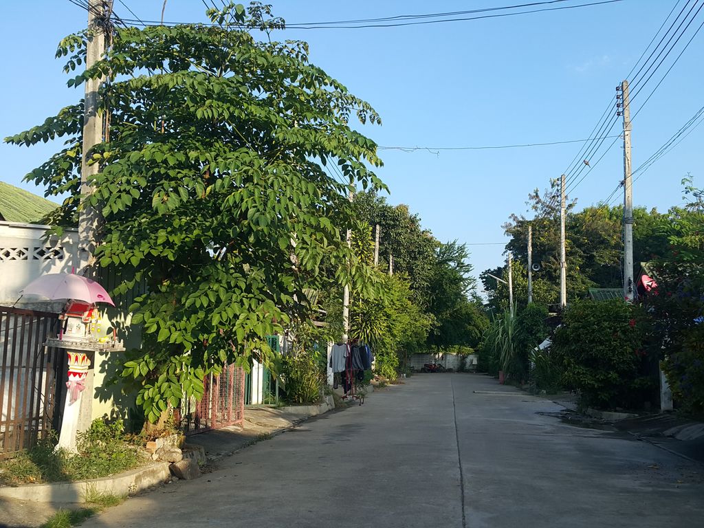 ภาพถนนตรงที่ ปู่จ๊างบาร์เบอร์ ตั้งอยู่ ถ่ายโดย jrcarlsen พ.ศ. 2558 (2015) · A street-level view of where ปู่จ๊างบาร์เบอร์ · Pu Chang Barber stands, by jrcarlsen in 2558 (2015)