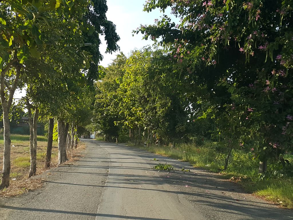 ภาพถนนตรงที่ เขยบ้านไร่พัฒนา ตั้งอยู่ ถ่ายโดย jrcarlsen พ.ศ. 2558 (2015) · A street-level view of where เขยบ้านไร่พัฒนา · Khoei Ban Rai Phatthana stands, by jrcarlsen in 2558 (2015)