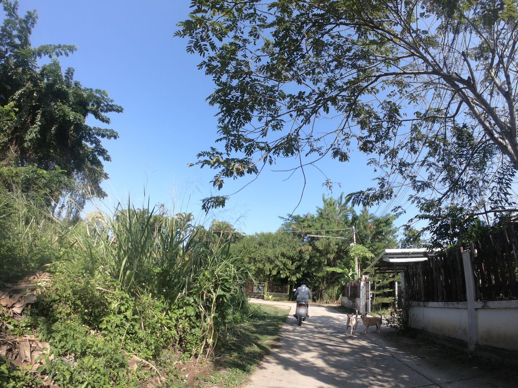 ภาพถนนตรงที่ วัดบวกครกหลวง ตั้งอยู่ ถ่ายโดย chanuwath_grab พ.ศ. 2562 (2019) · A street-level view of where วัดบวกครกหลวง · Wat Buakkhrokluang stands, by chanuwath_grab in 2562 (2019)