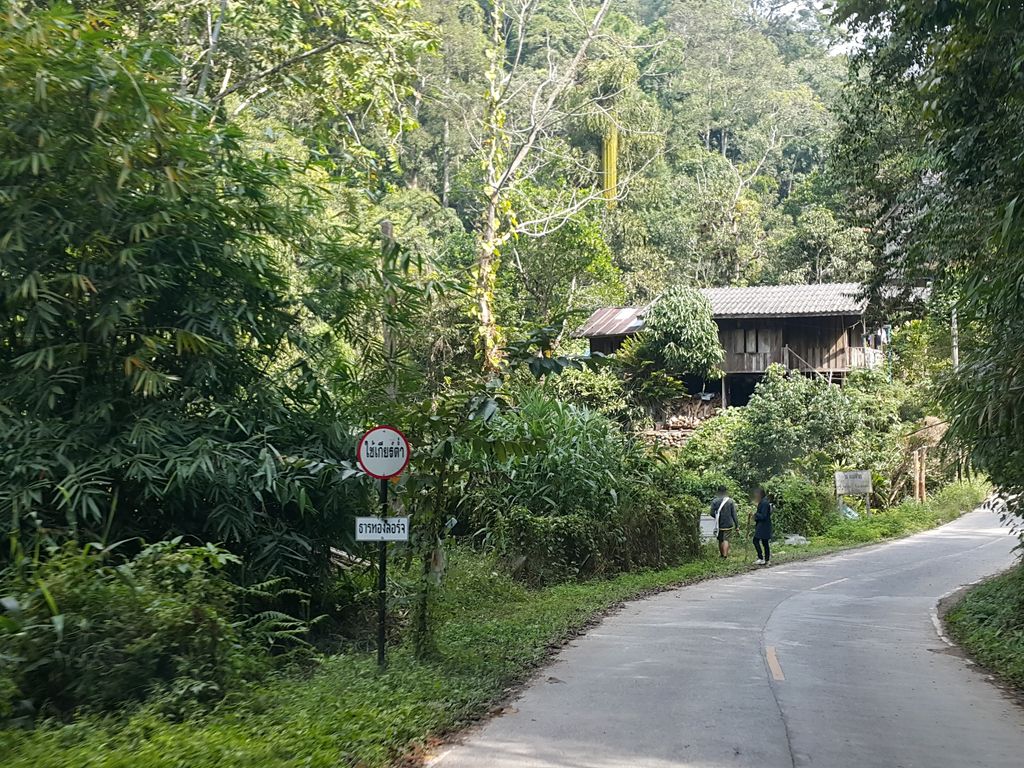 ภาพถนนตรงที่ Bee Forest ตั้งอยู่ ถ่ายโดย jrcarlsen พ.ศ. 2558 (2015) · A street-level view of where Bee Forest stands, by jrcarlsen in 2558 (2015)