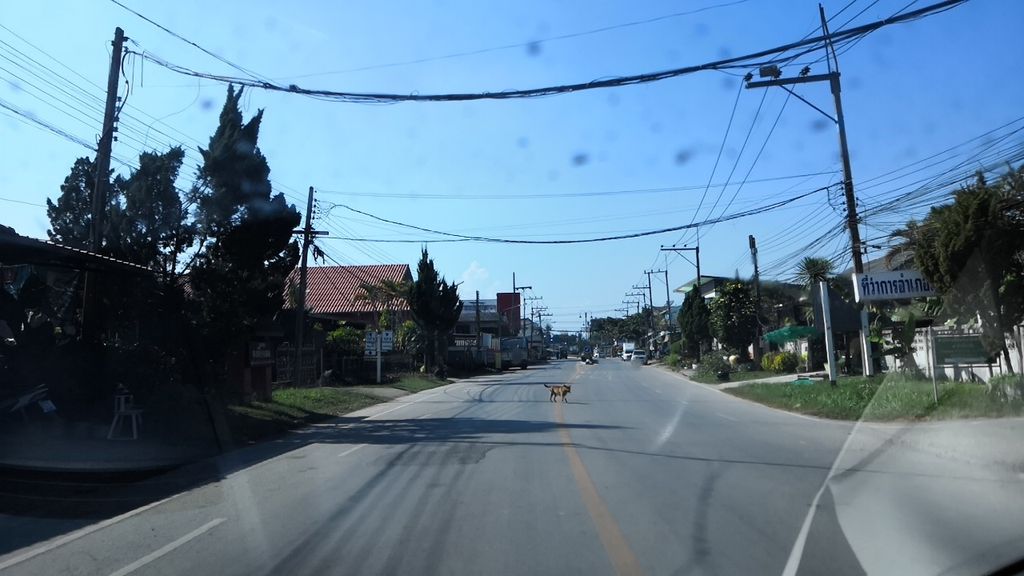 ภาพถนนตรงที่ 157 Tattoo ตั้งอยู่ ถ่ายโดย charlesano พ.ศ. 2561 (2018) · A street-level view of where 157 Tattoo stands, by charlesano in 2561 (2018)