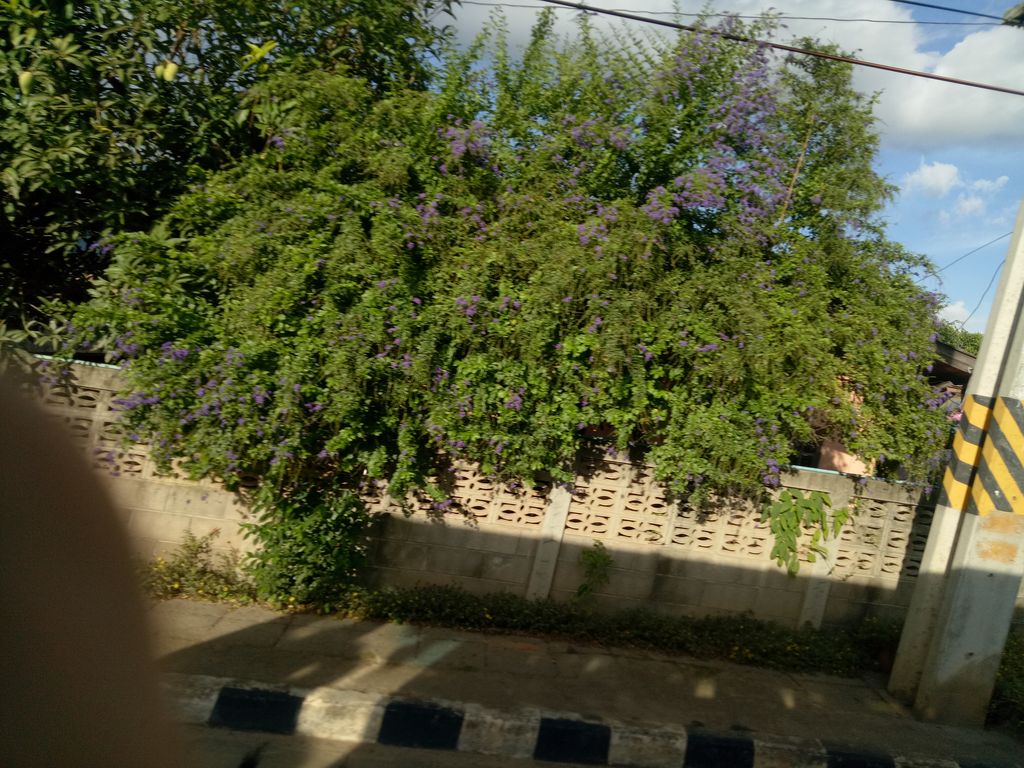 ภาพถนนตรงที่ ร้านลาบลุงนวย ตั้งอยู่ ถ่ายโดย chananthida พ.ศ. 2561 (2018) · A street-level view of where ร้านลาบลุงนวย · Ran Lap Lungnuai stands, by chananthida in 2561 (2018)
