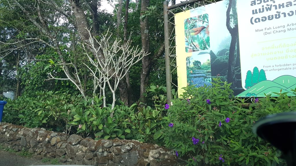 ภาพถนนตรงที่ Doi Chang Mub Arboretum ตั้งอยู่ ถ่ายโดย igorzo พ.ศ. 2562 (2019) · A street-level view of where Doi Chang Mub Arboretum stands, by igorzo in 2562 (2019)