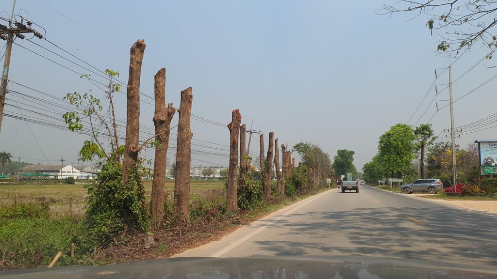 ภาพถนนตรงที่ Suandok Restaurant ครัวสวนดอก ตั้งอยู่ ถ่ายโดย jrcarlsen พ.ศ. 2565 (2022) · A street-level view of where Suandok Restaurant ครัวสวนดอก stands, by jrcarlsen in 2565 (2022)