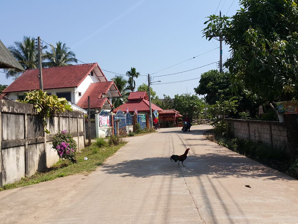 ภาพถนนตรงที่ บ้านร้องซิตี้ จ.เชียงราย ตั้งอยู่ ถ่ายโดย jrcarlsen พ.ศ. 2558 (2015) · A street-level view of where บ้านร้องซิตี้ จ.เชียงราย · Ban Rong City Cha.Chiang Rai stands, by jrcarlsen in 2558 (2015)