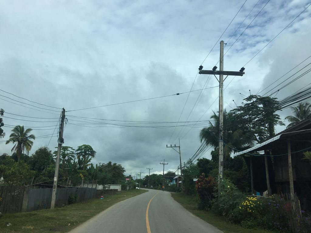 ภาพถนนตรงที่ สวนคาวตองเชียงราย ตั้งอยู่ ถ่ายโดย wapriz พ.ศ. 2561 (2018) · A street-level view of where สวนคาวตองเชียงราย · Khao Tong Chiang Rai Garden stands, by wapriz in 2561 (2018)
