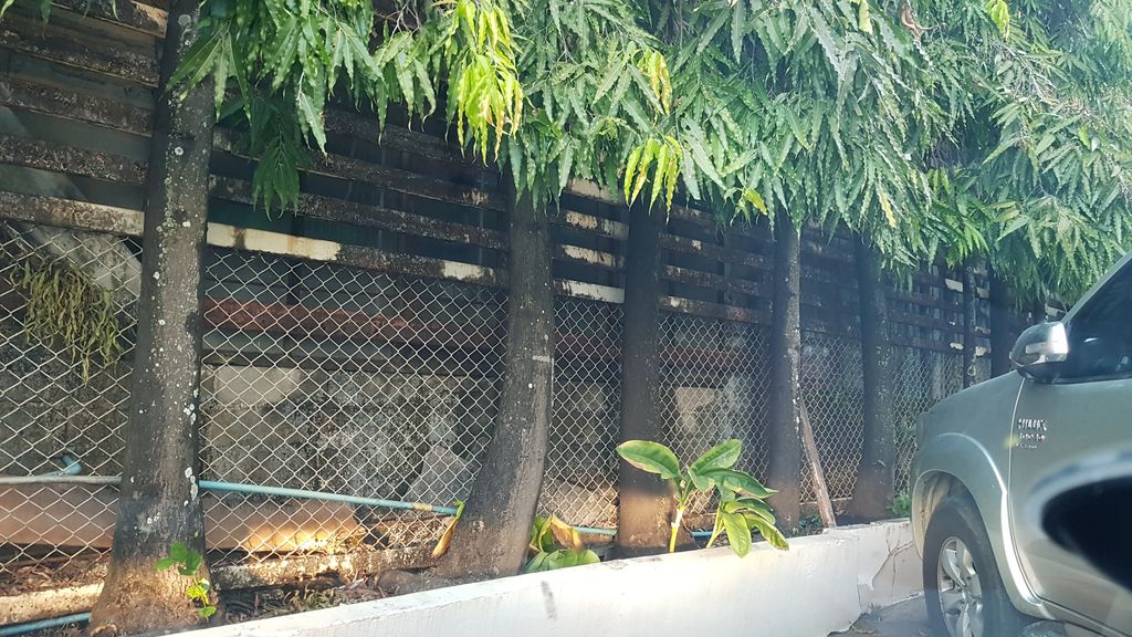 ภาพถนนตรงที่ เอวาแคมป์ภูชี้ฟ้า ตั้งอยู่ ถ่ายโดย igorzo พ.ศ. 2562 (2019) · A street-level view of where เอวาแคมป์ภูชี้ฟ้า · A Wa Camp Phuchifa stands, by igorzo in 2562 (2019)